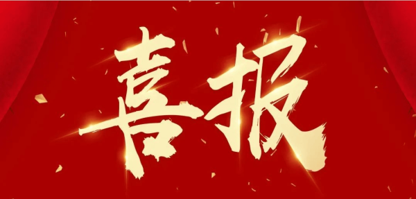 公司动态